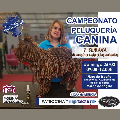 ven a disfrutar de la peluquería canina el 26 de marzo en Murcia