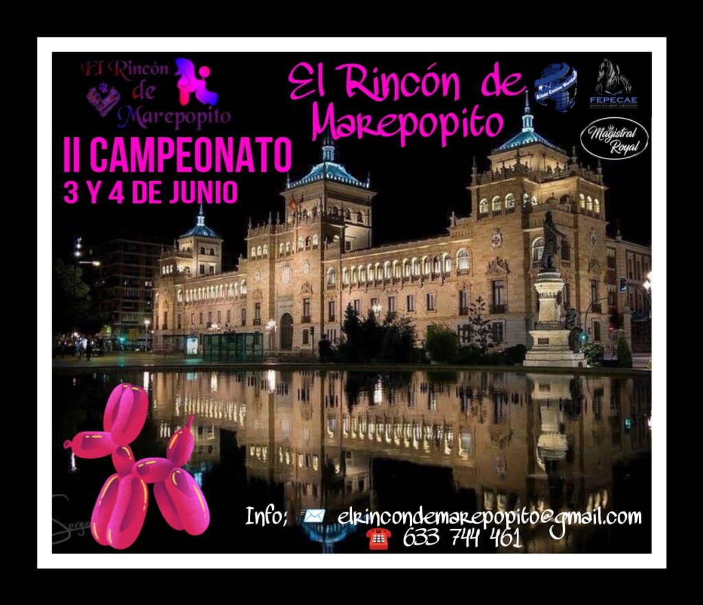 La mejor competición de peluquería canina en Valladolid - Junio 2023