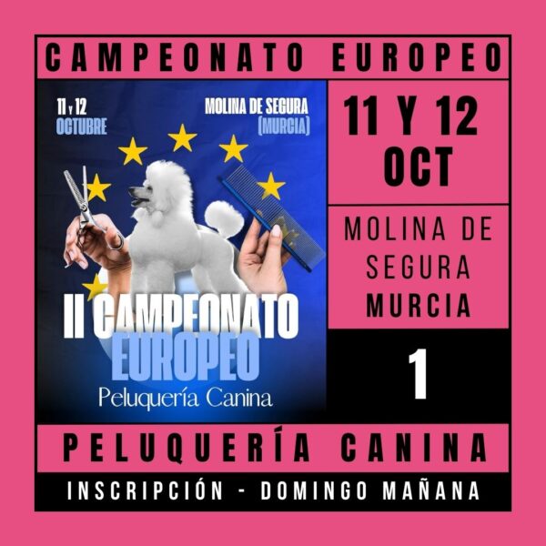 Inscripción General Campeonato Europeo 2025 - Domingo Mañana