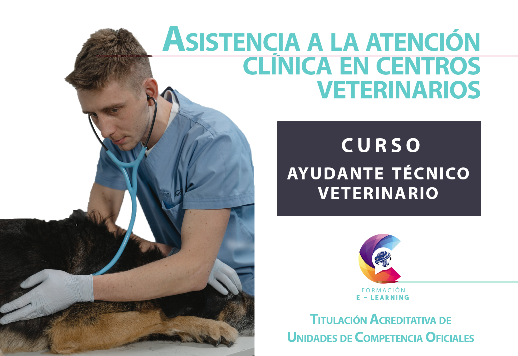 Descubre el Curso de Ayudante Técnico Veterinario en Alianz Formación ...